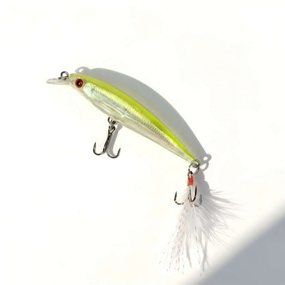Reef Runner Minnow Fishing Lure, 9 cm – 8 g